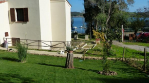 I Fiori nel golfo di Baratti Tuoro Sul Trasimeno